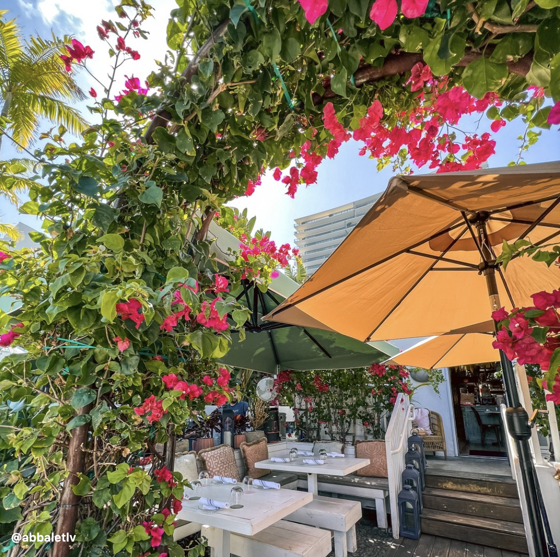 What To Do In Miami Beach, FL: A Local's Guide