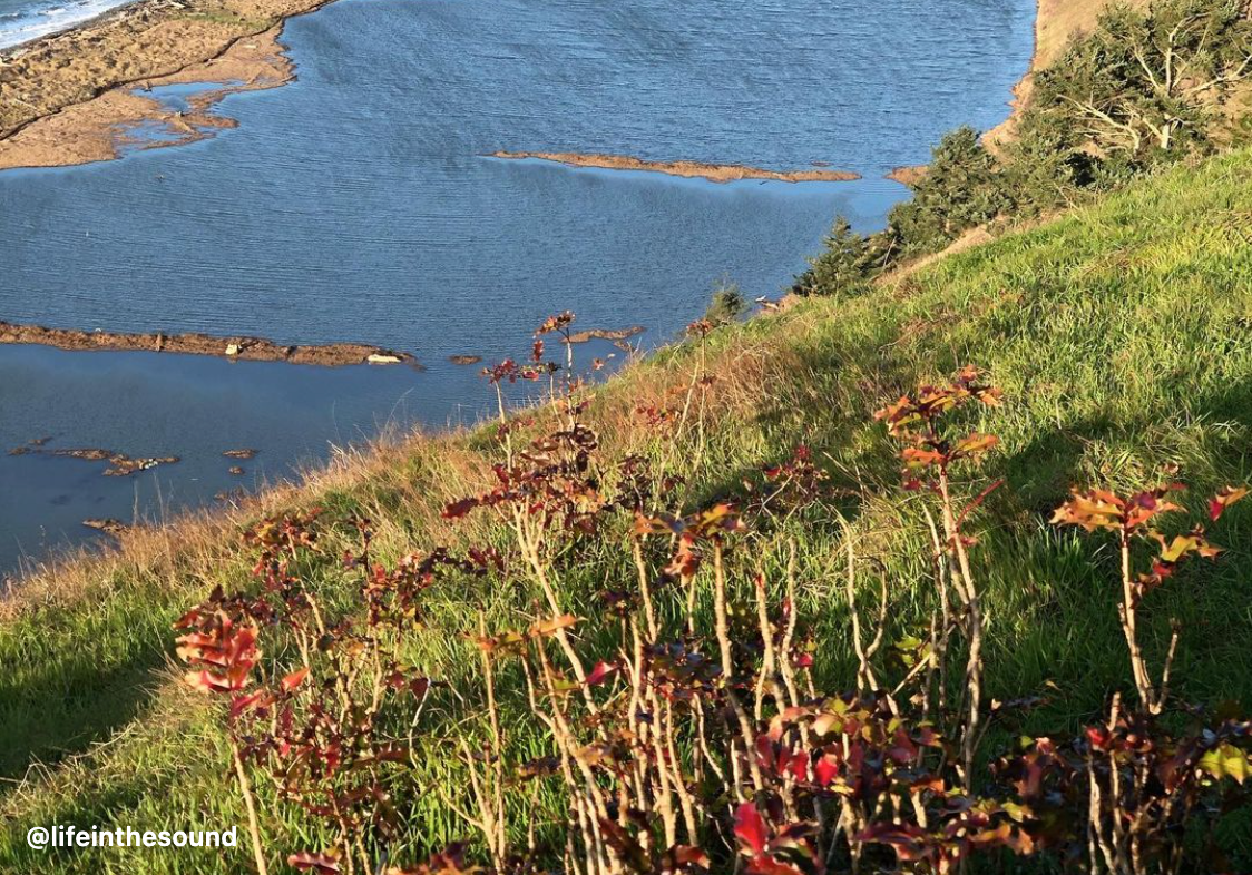 Ebey's Landing National Historical Reserve